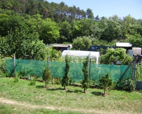 PREDANÉ