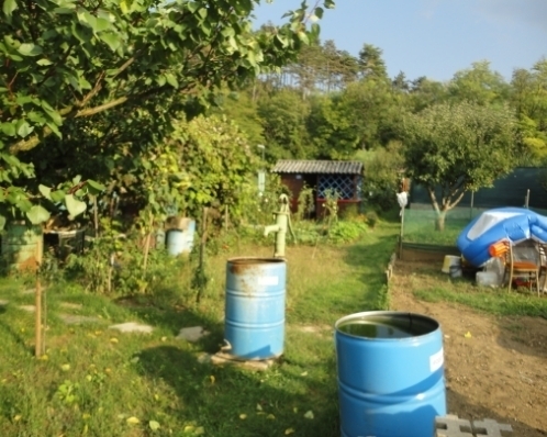 PREDANÉ