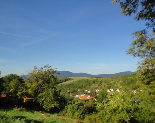 PREDANÉ